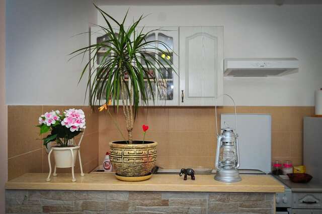 Апартаменты Apartment Elena Тиват-19